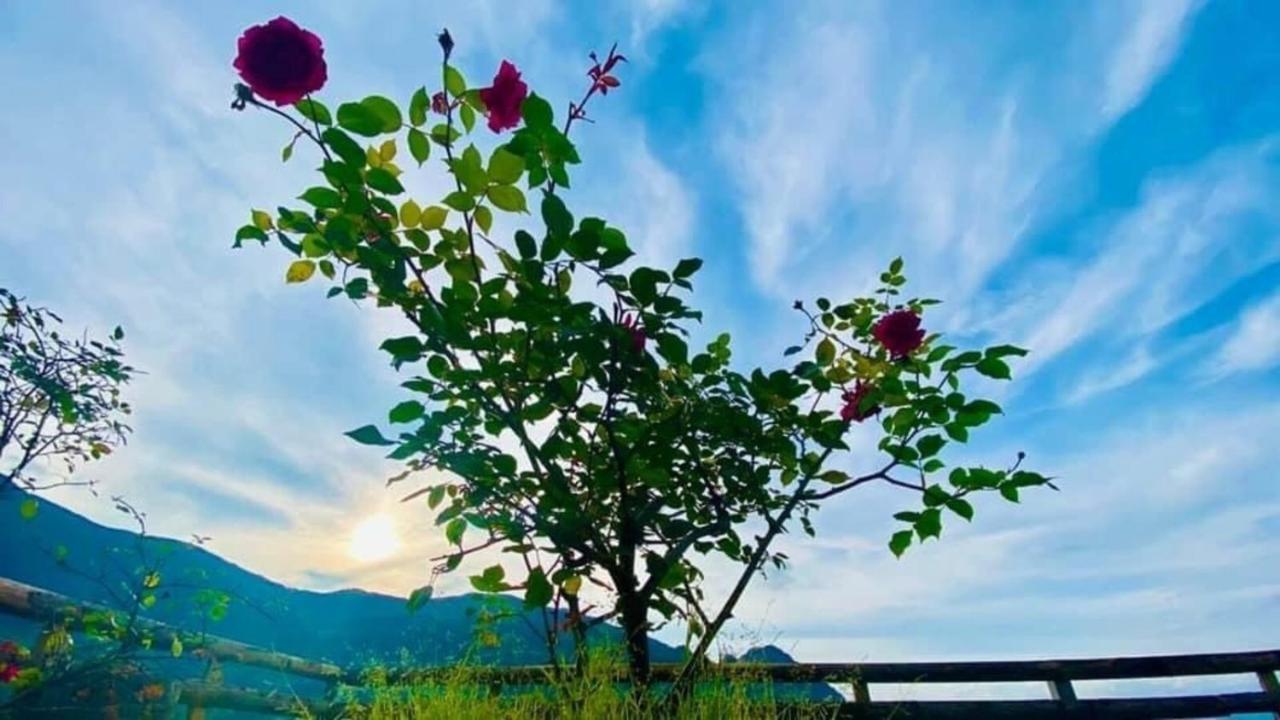 Ha Lu Homestay Lao Cai Exterior foto
