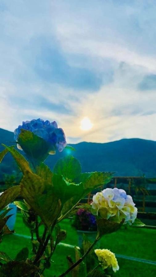 Ha Lu Homestay Lao Cai Exterior foto